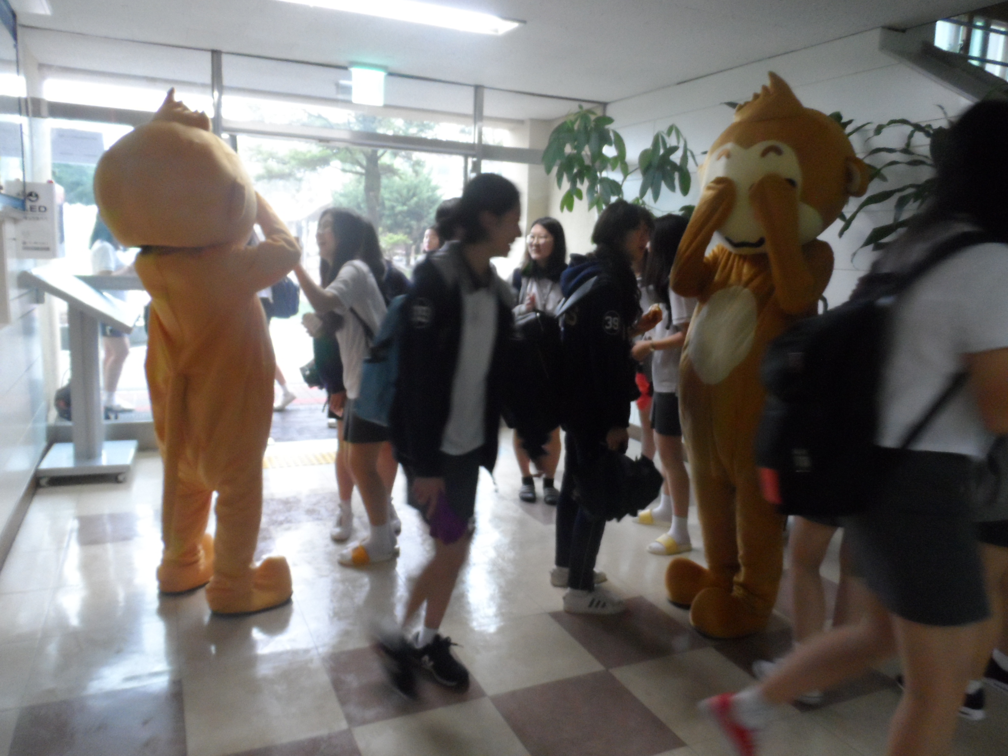 ������ �� ��  ��