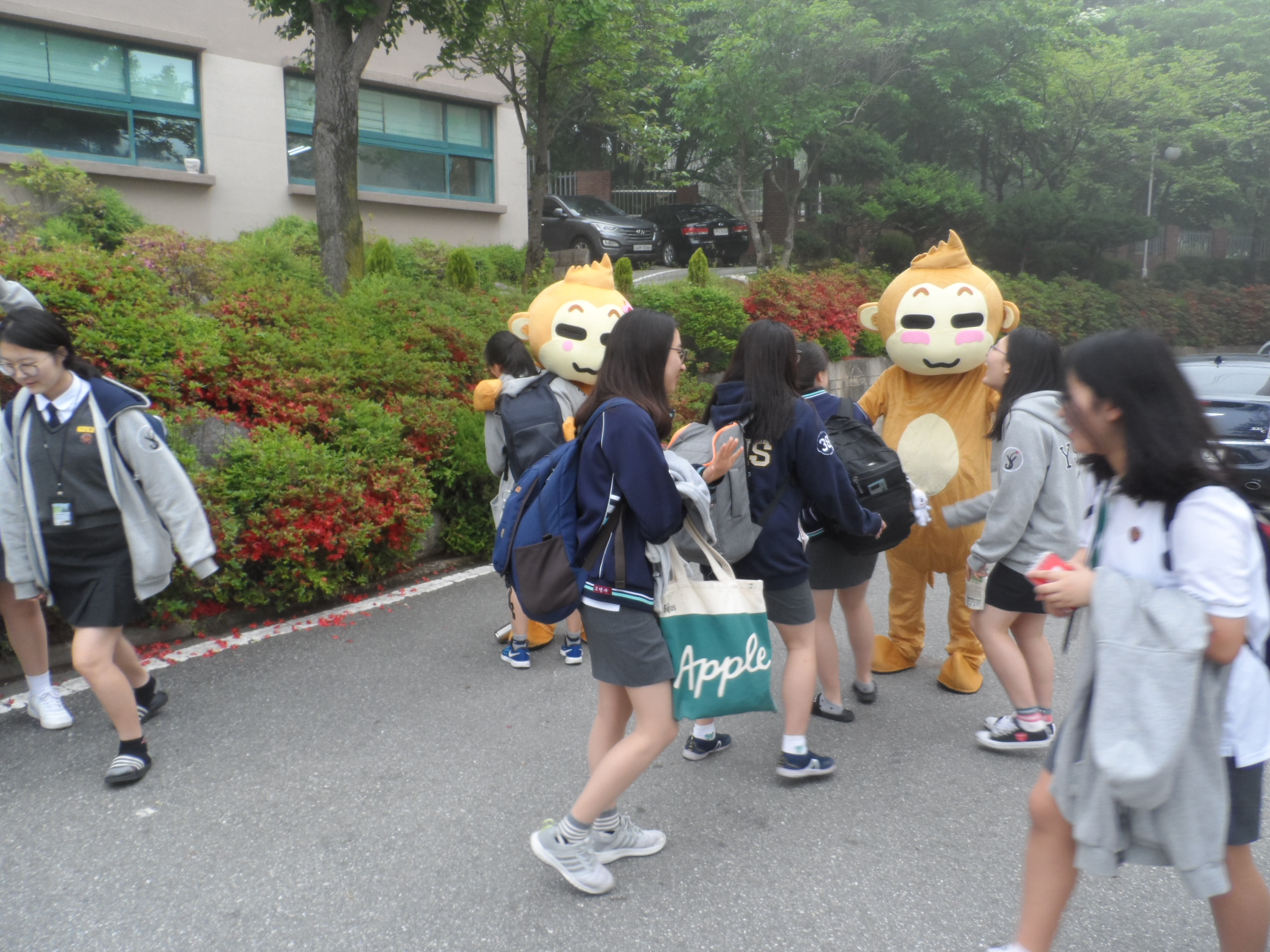 ����������