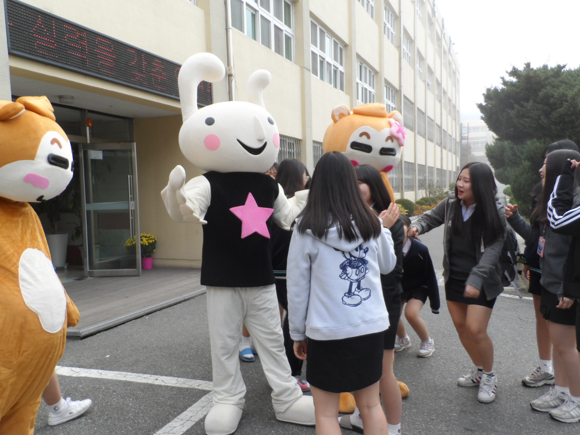 ��׵��� ��� ����