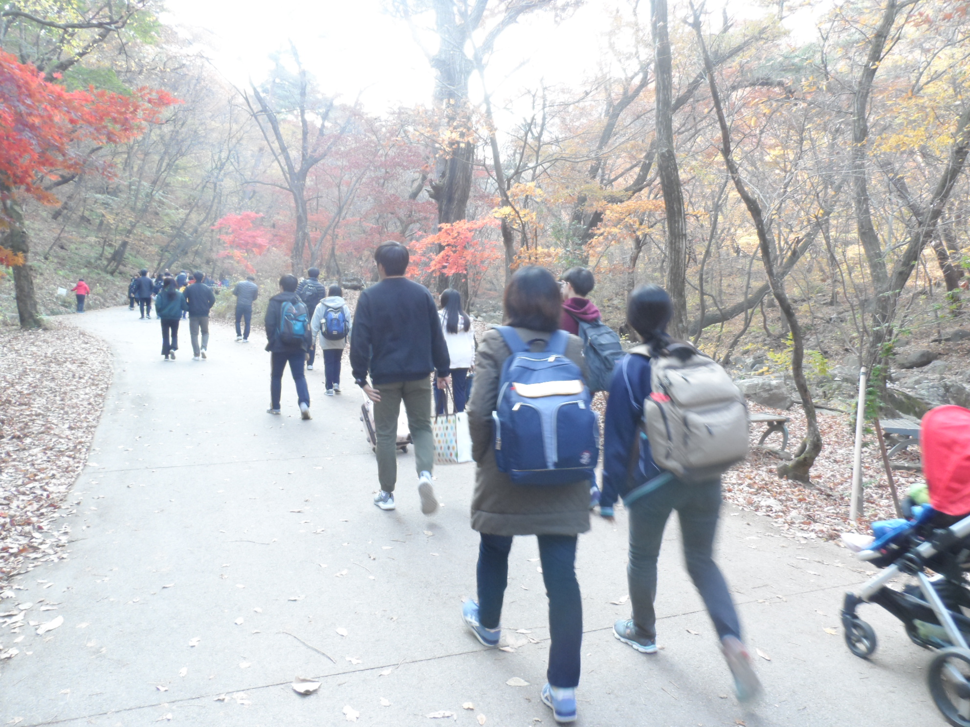 �빮��� �ɾ� �ö󰡴� ���