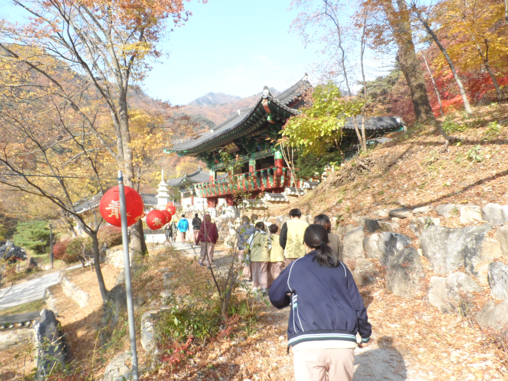 �����ȳ�